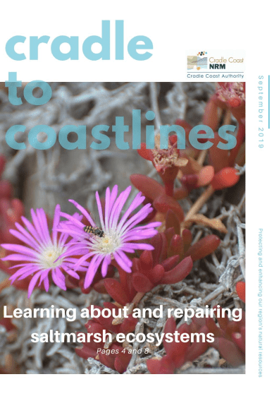 Cradle to Coastlines – September 2019